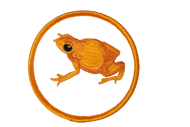 Orange Frog Patch 
